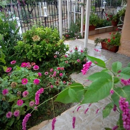 Villa Angela, Traditional Villa In The Village Agios Ioannis Peristerion Exteriör bild